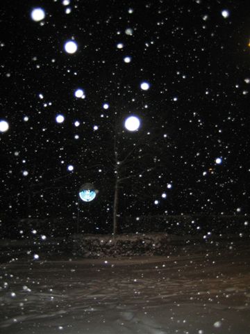 Snow snow snow.