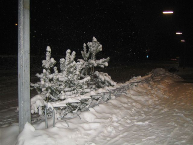 Snow snow snow.