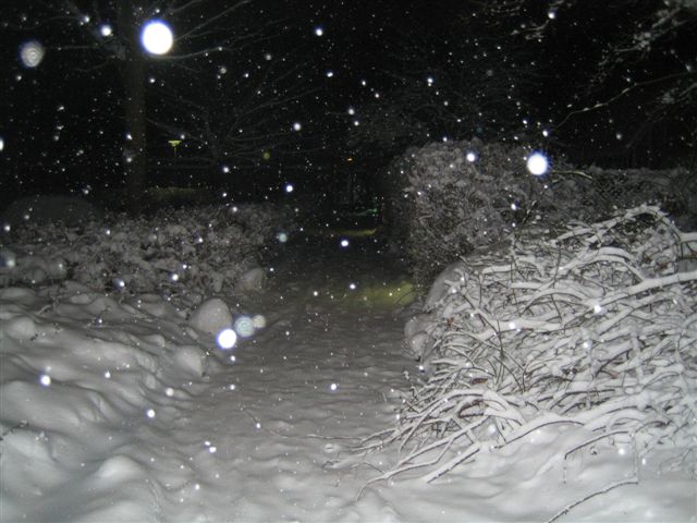 Snow snow snow.