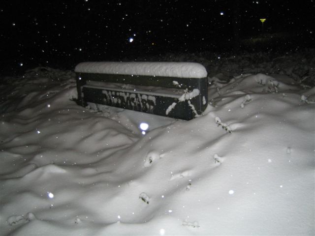 Snow snow snow.