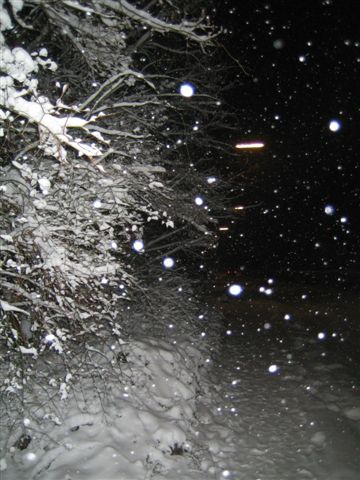 Snow snow snow.