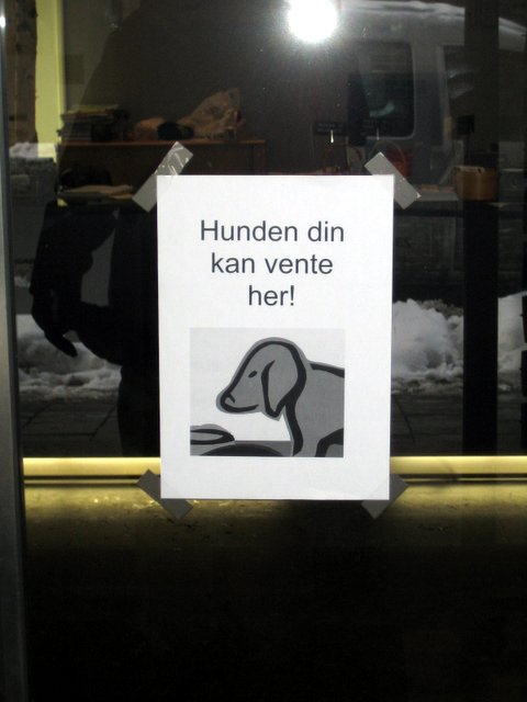 More Oslo photos