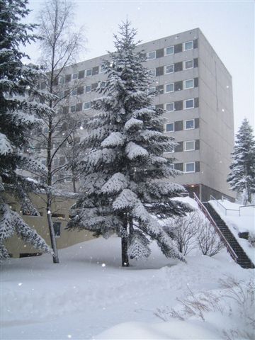 Day 6: let it snow let it snow let it snow