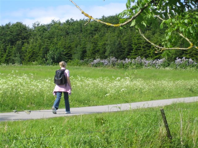 Gone for a walk, back soon