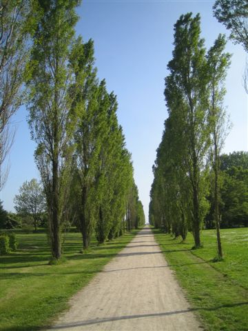 Valby park