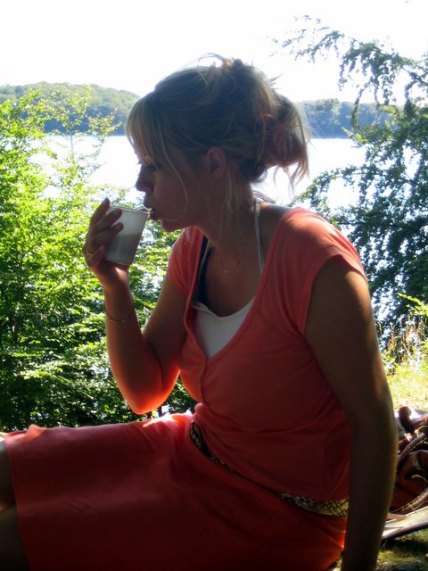 Bye Middelfart
