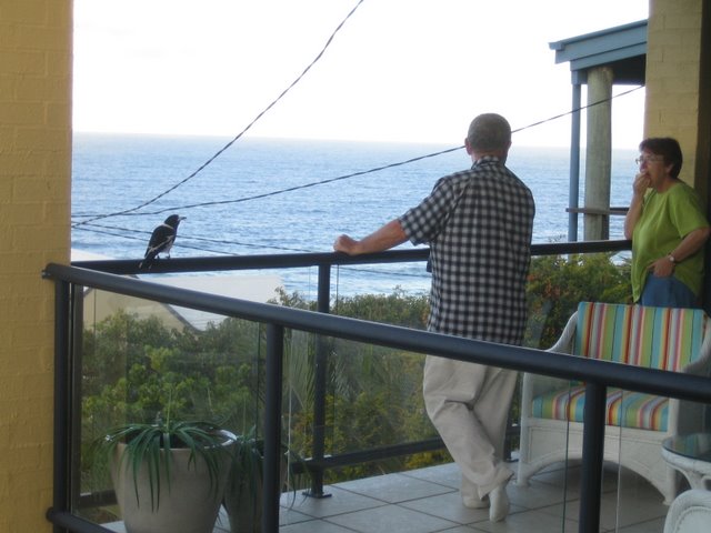The house in Coolum