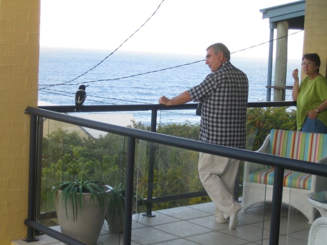 The house in Coolum