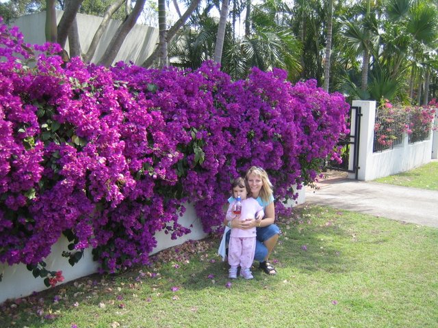 Park photos