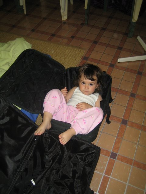 Bubba hides in the luggage.