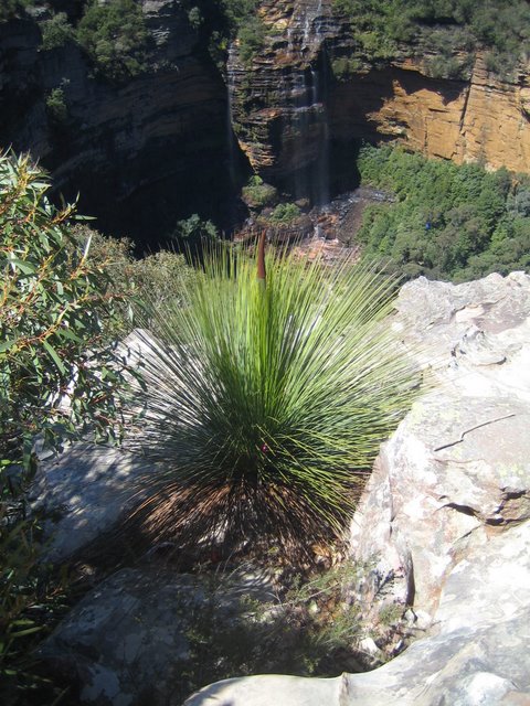 Katoomba: The Three Sisters