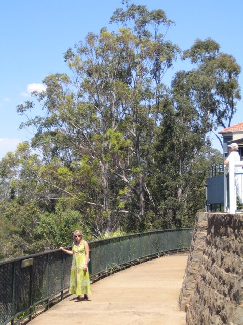 Day Trip to Toowoomba