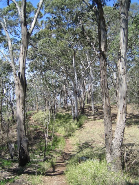 Day Trip to Toowoomba