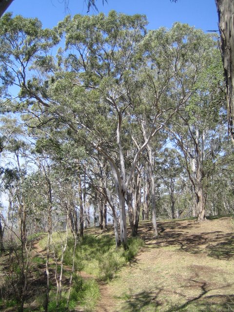 Day Trip to Toowoomba