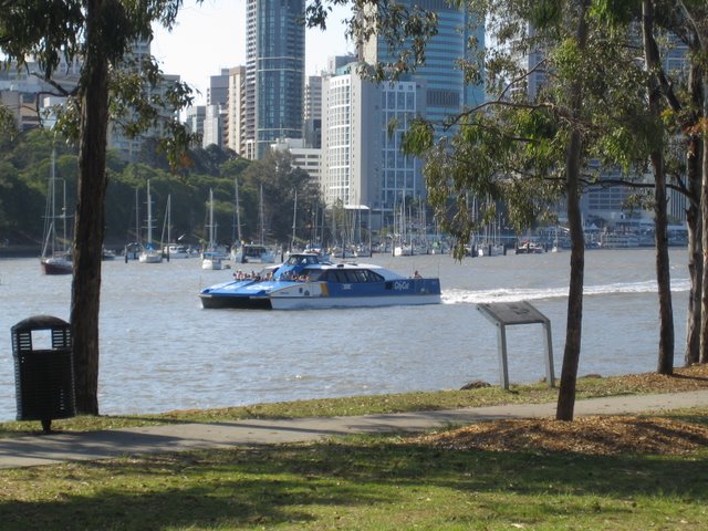 Kangaroo Point Good Bye BBQ: 1 of 2