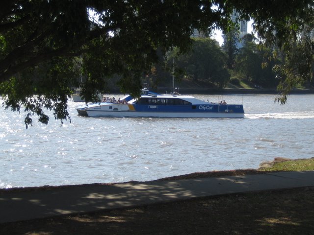 Kangaroo Point Good Bye BBQ: 1 of 2