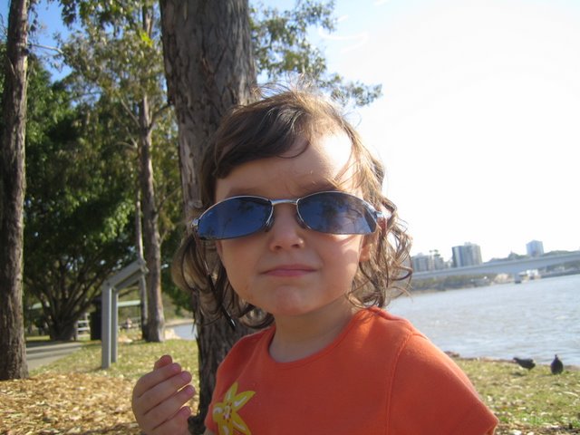 Kangaroo Point Good Bye BBQ: 1 of 2