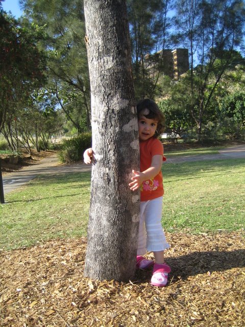 Kangaroo Point Good Bye BBQ: 2 of 2