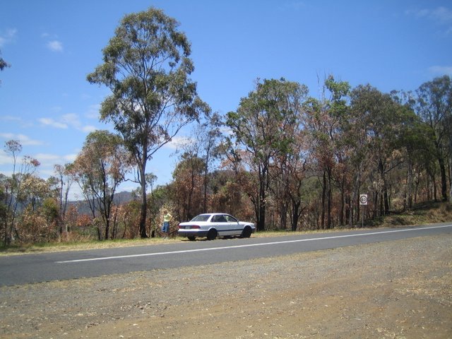 Bushfires and Treetop walking