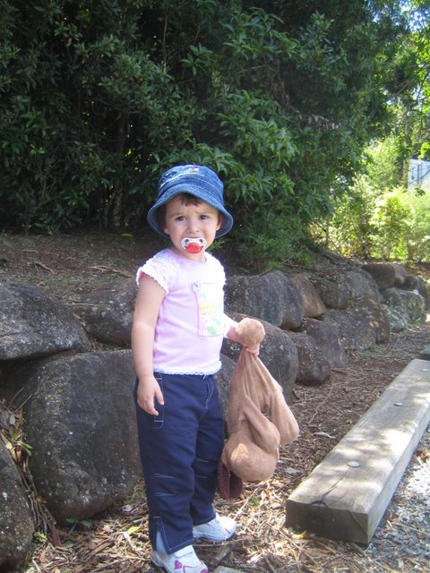 Bushfires and Treetop walking