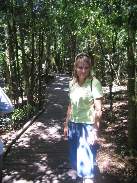 Bushfires and Treetop walking