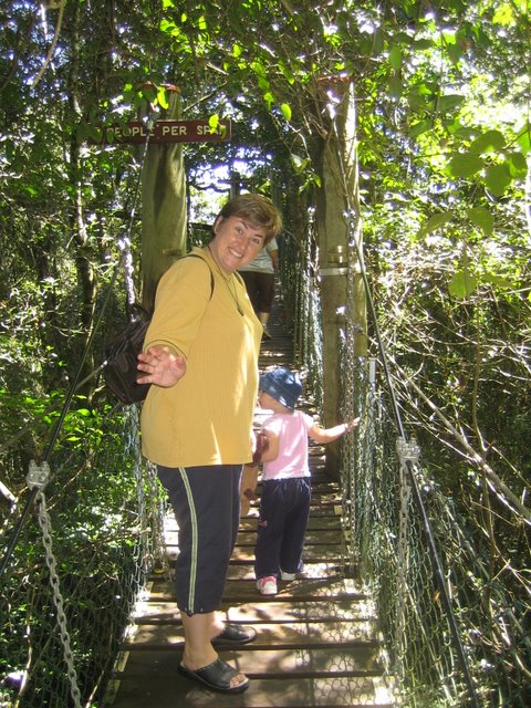 Bushfires and Treetop walking