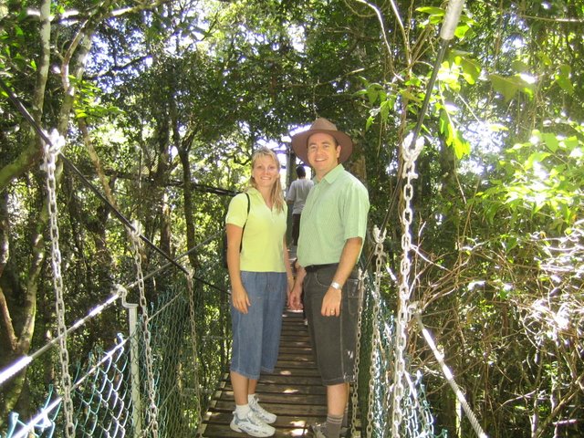 Bushfires and Treetop walking