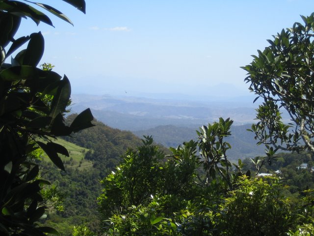 Bushfires and Treetop walking