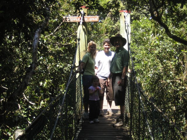 Bushfires and Treetop walking