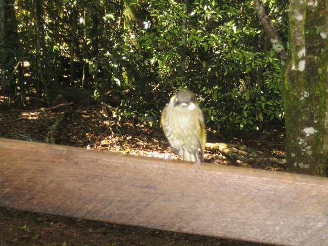 O'Reily's: Lunch
