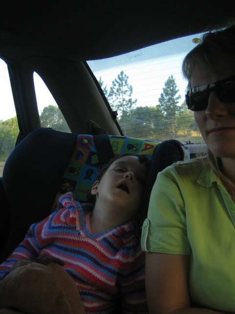 O'Reily's: Going home
