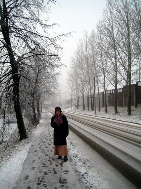 Witnessing in Oslo