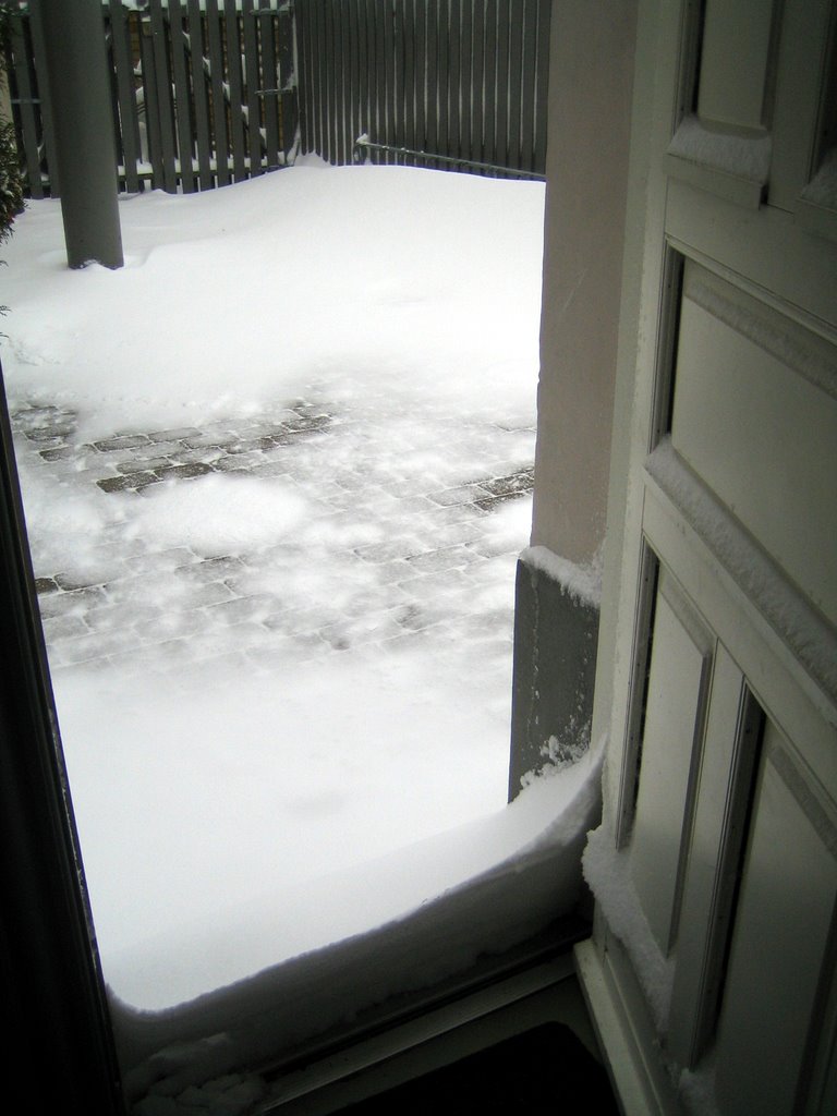 Lots of snow this morning