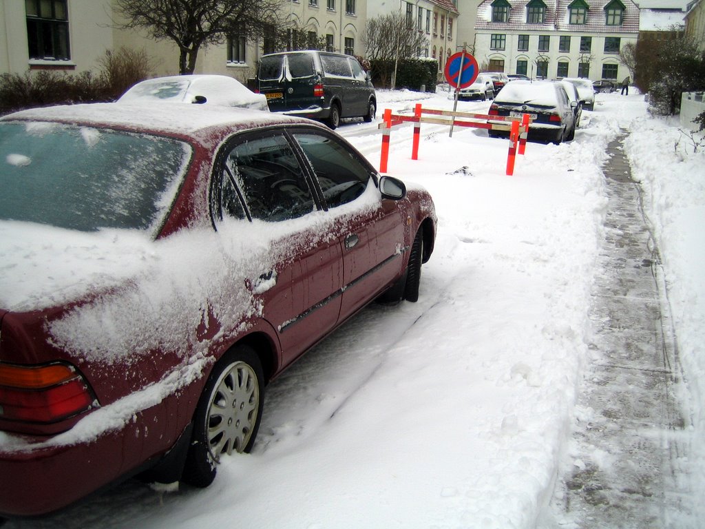 Lots of snow this morning