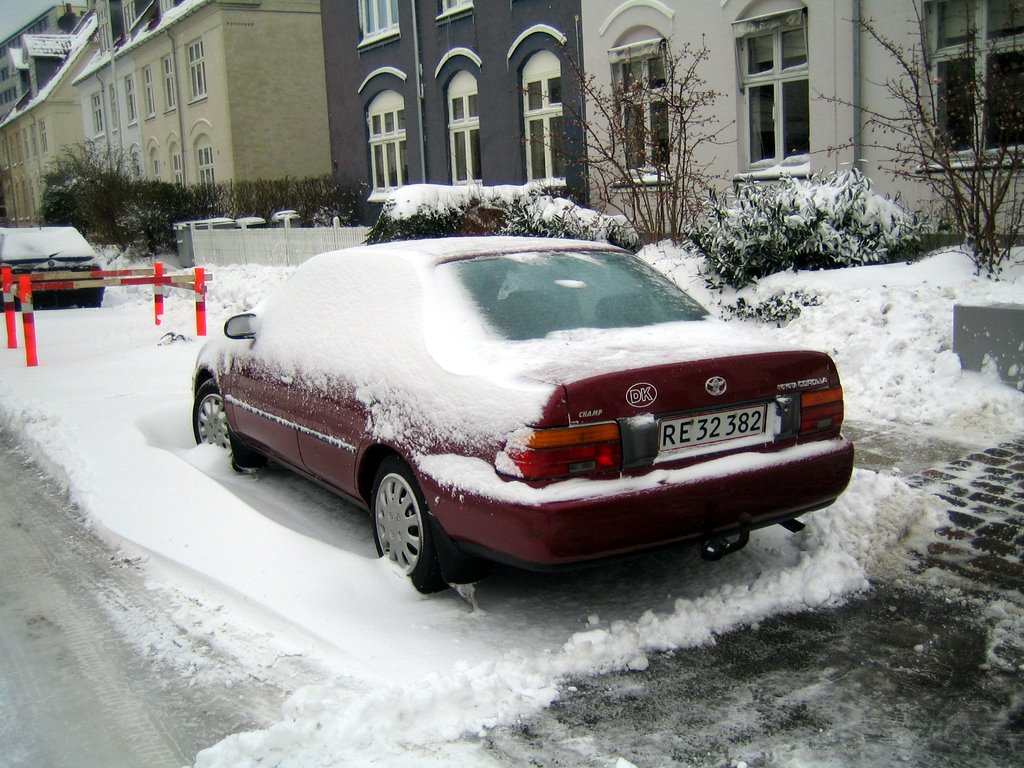 Lots of snow this morning