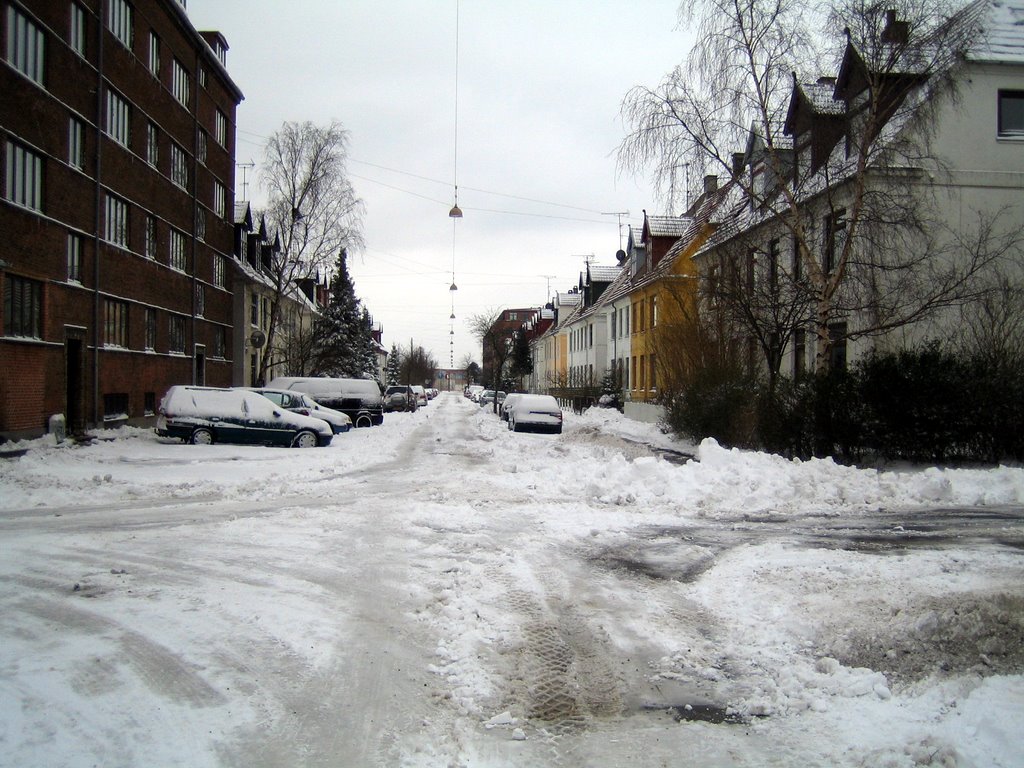Lots of snow this morning