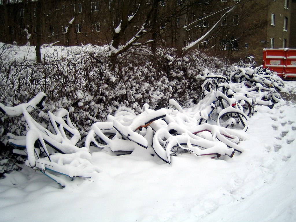 Let it snow, let it snow, let it snow!