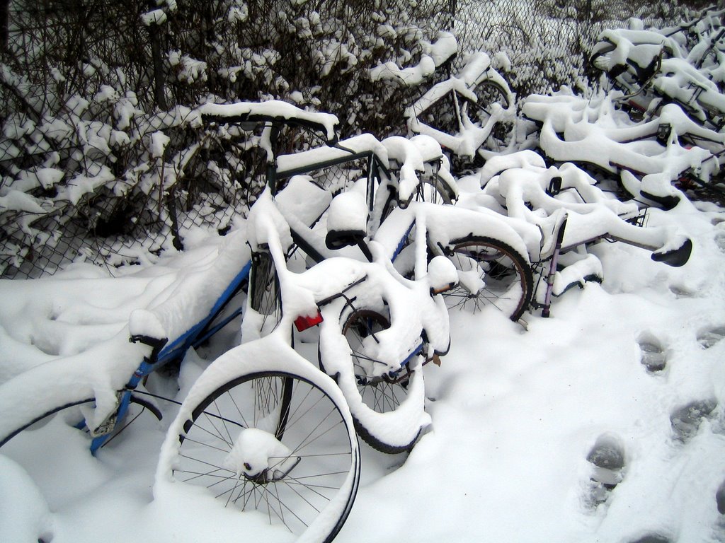 Let it snow, let it snow, let it snow!