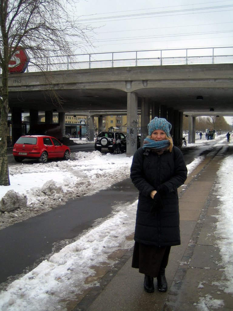 Let it snow, let it snow, let it snow!