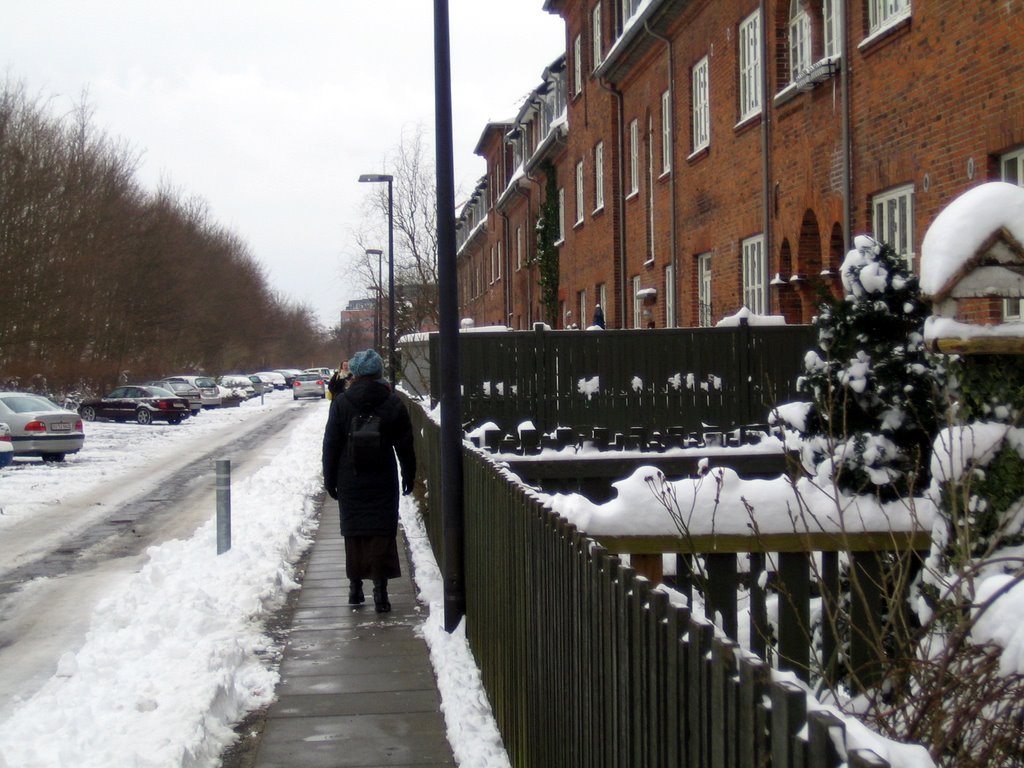 Let it snow, let it snow, let it snow!