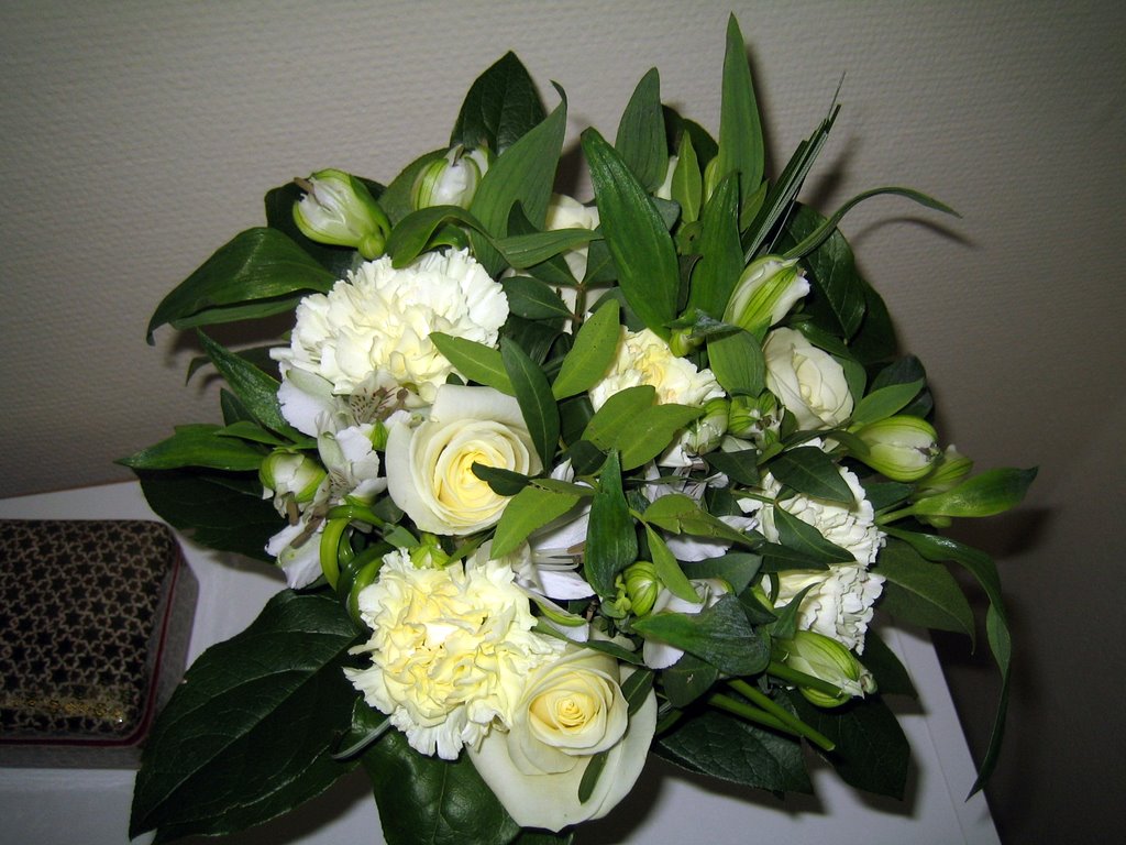 Mysterious flowers