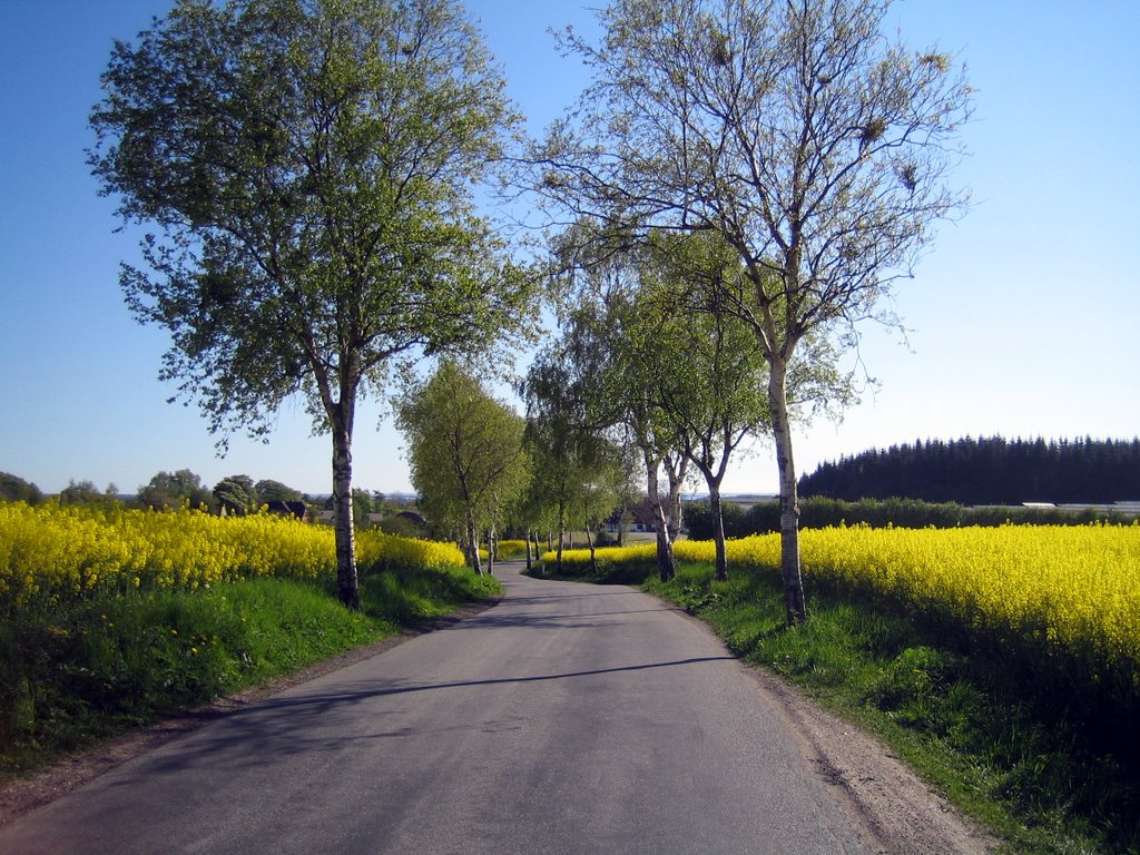 A trip to Fyn