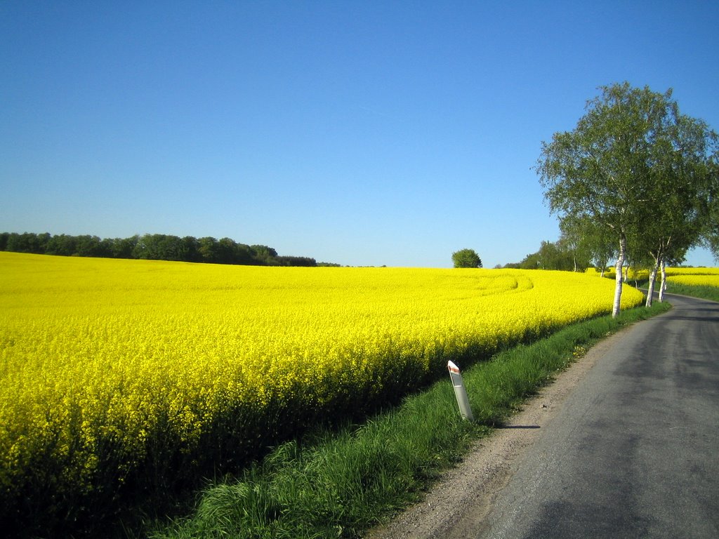 A trip to Fyn