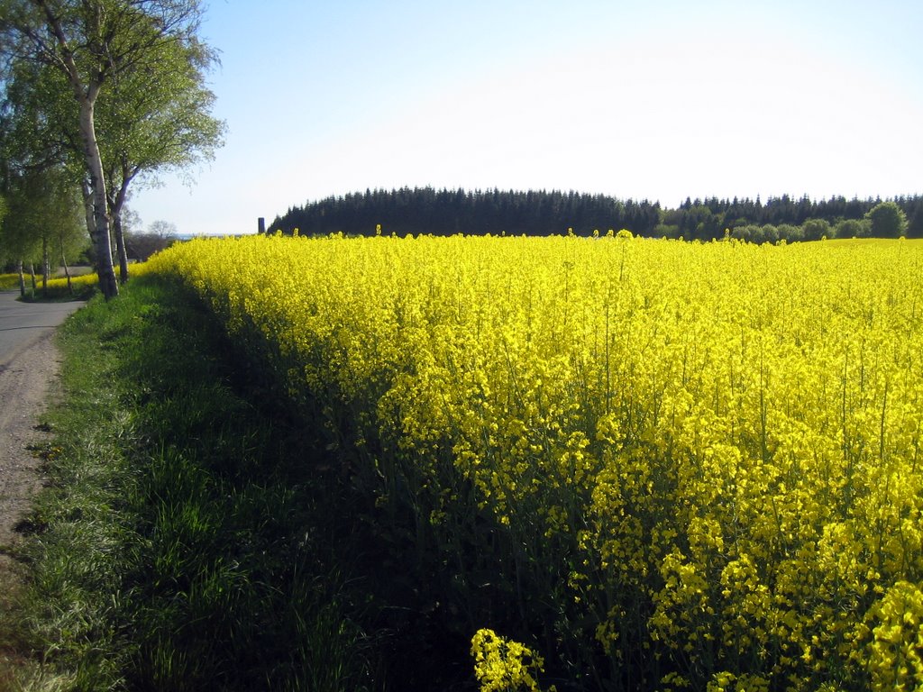 A trip to Fyn