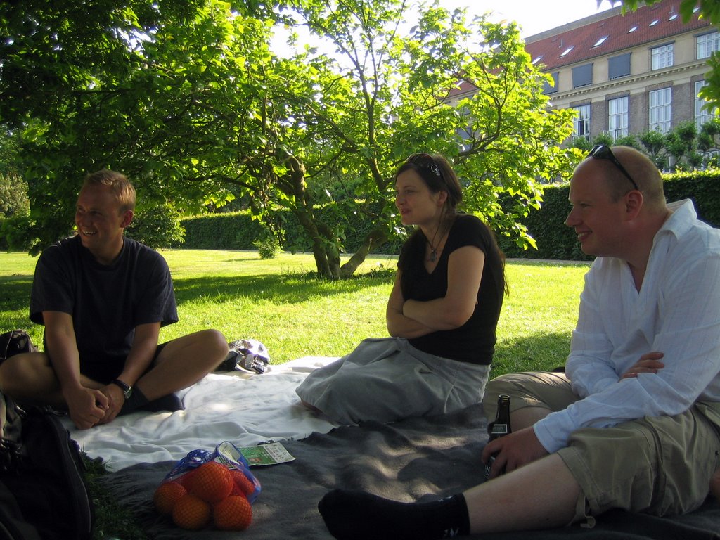 Pizza in a park