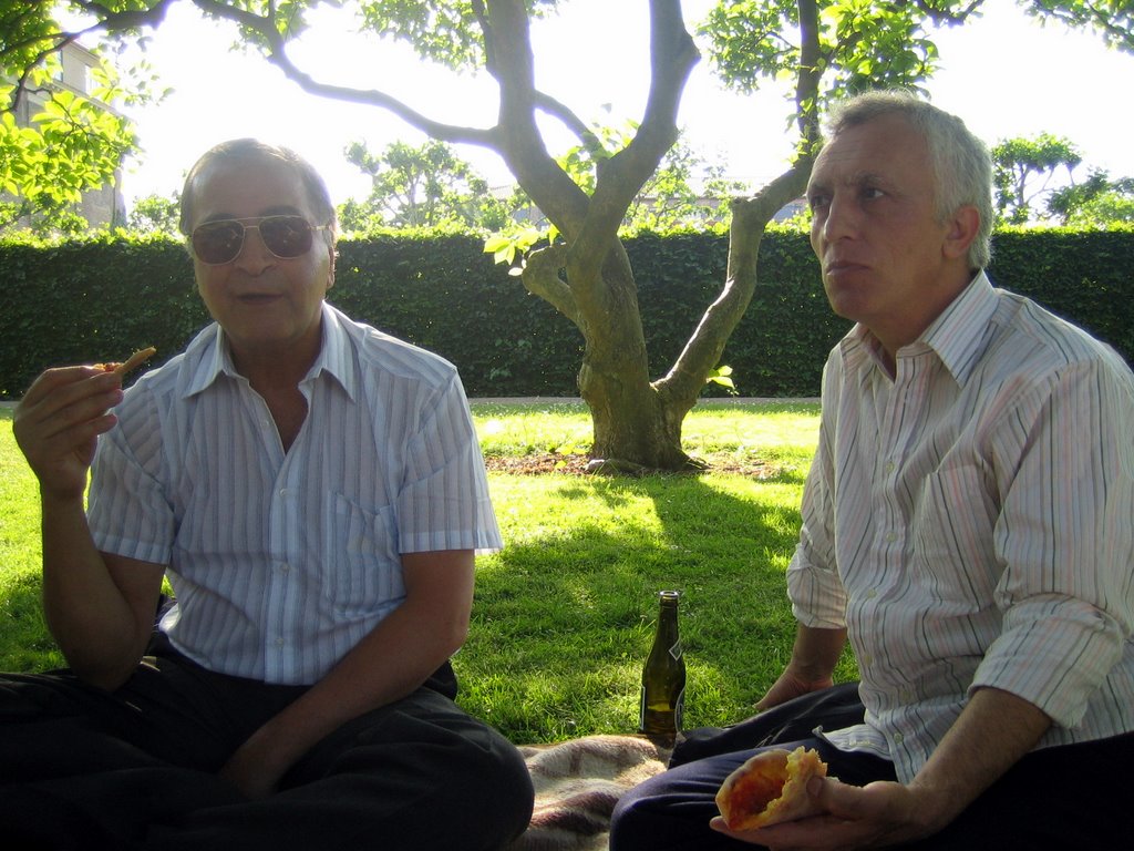Pizza in a park