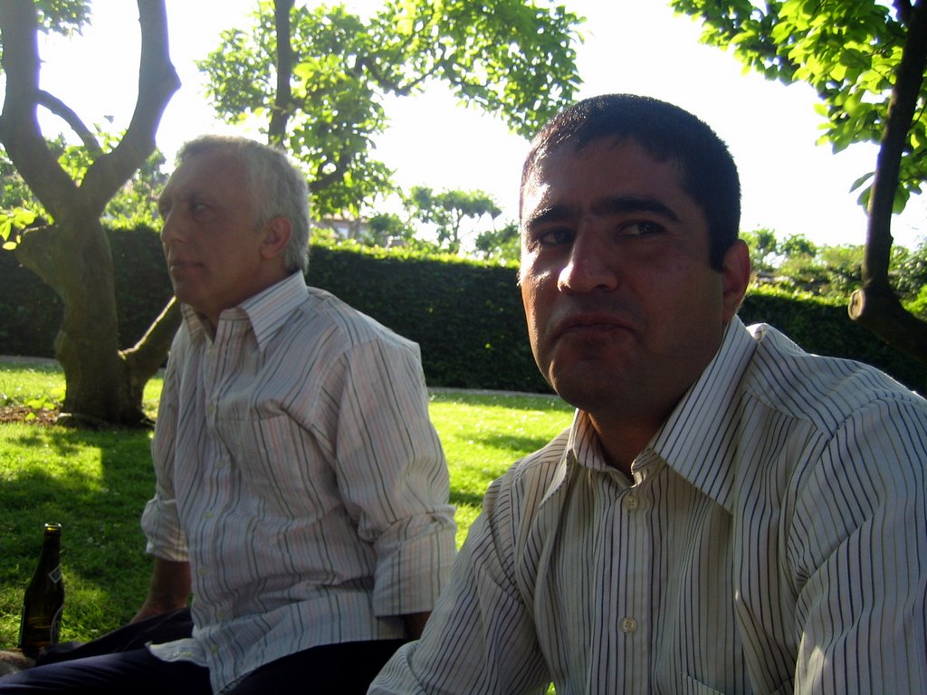 Pizza in a park