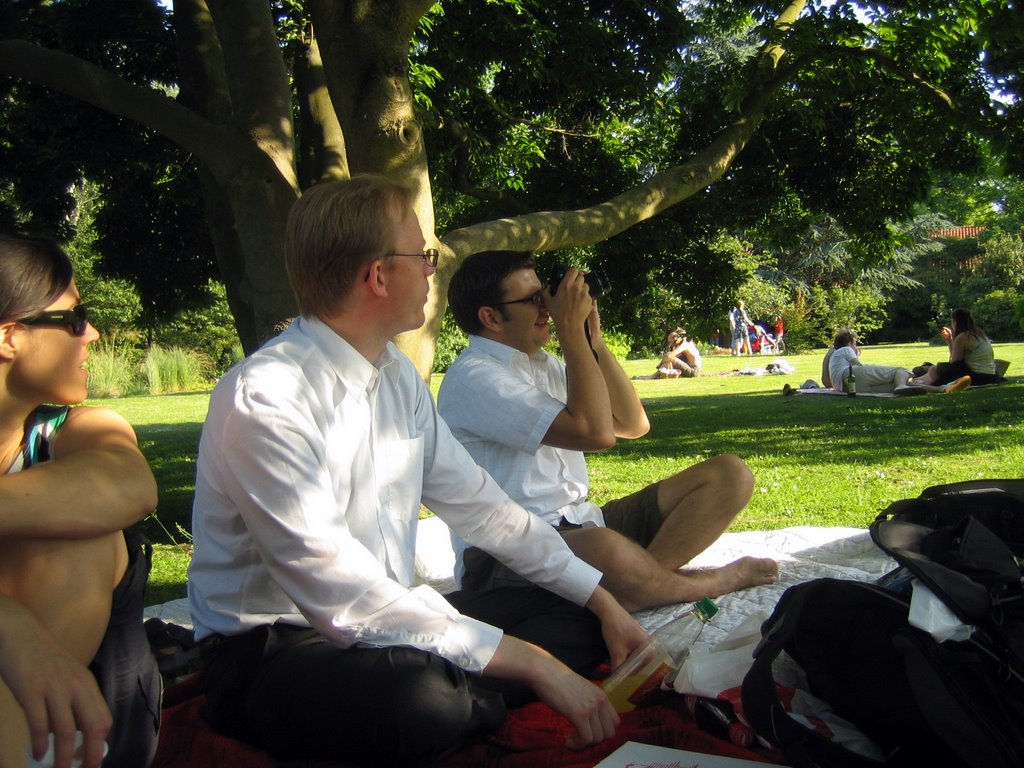 Pizza in a park