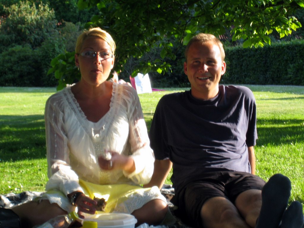 Pizza in a park