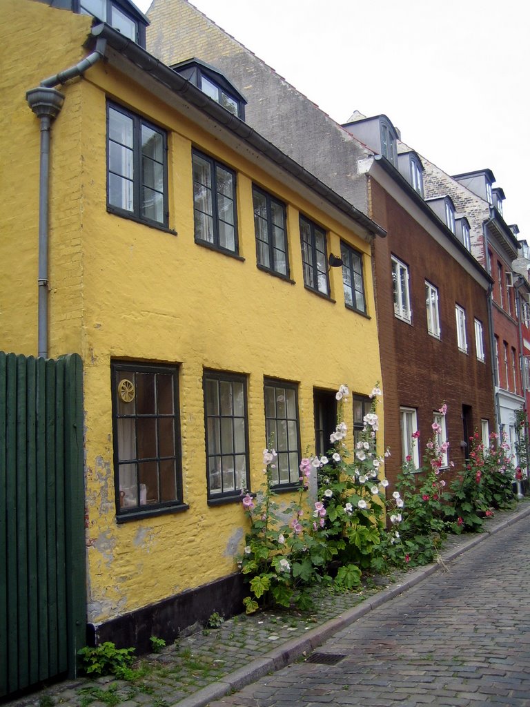 Row row row your boat, Christianshavn style